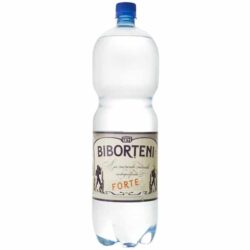 BIBORTENI Apa Carbogazoasa Forte 6 x 2 L