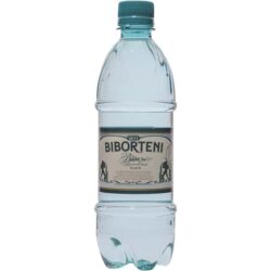 BIBORTENI Apa Plata 12 x 0,5 L