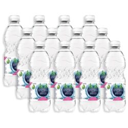 IZVORUL DINTRE BRAZI Apa Plata 12 x 0,5 L