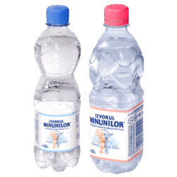 IZVORUL MINUNILOR Apa Plata 12 x 0,5 L